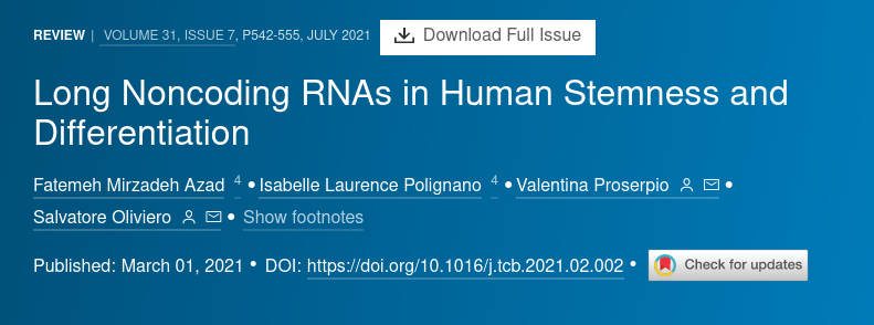 Long Noncoding RNAs in Human Stemness and Differentiation