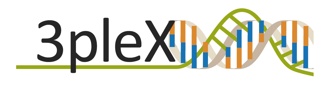 3plex enables deep computational investigation of triplex forming lncRNAs
